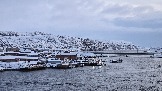 20251125_140430.jpg