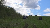 20250508_170314.jpg