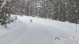 Фото Трофи-лайф 4х4 покатушкаэкспедиция Восточные Пряности 23-5.02.23 - 184.jpg