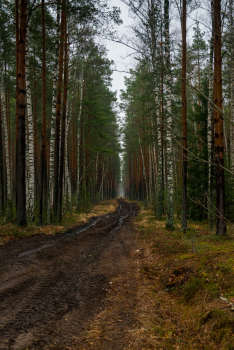 Шушмор (184 из 188).jpg