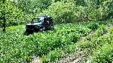 Трофи-лайф фото 4х4 покатушка Лабиринты Купавны 23.05.2026 - 003.png