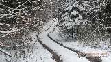 Фото Трофи-лайф 4х4 покатушка Новоистринские Просеки 28.10.23 - 296.jpg