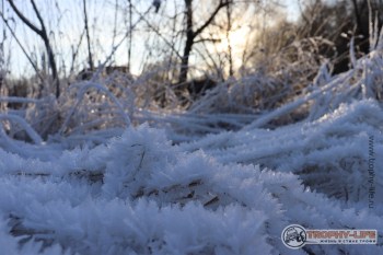 Фото Трофи-лайф 4х4 покатушка Южные Косогоры 12.12.20 - 169.JPG