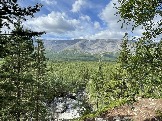 IMG_9319.jpeg