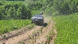 20260606_143837.jpg