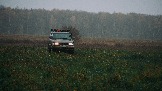 DSC08411.jpg