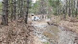 20250315_121226.jpg