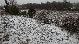 Трофи-лайф фото 4х4 покатушка Школа 4х4 16.02.2025 -  (199).jpg