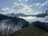 IMG_8535.JPEG
