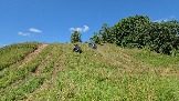 20260801_120021.jpg