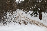 Трофи-лайф фото 4х4 корпоративное мероприятие 21.12.2024 -  (168).JPG