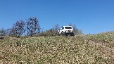 20250420_130855.jpg