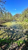 IMG_2765.JPG