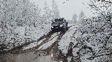 20251115_113148.jpg