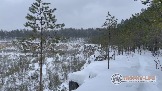 Фото Трофи-лайф 4х4 покатушкаэкспедиция Восточные Пряности 23-5.02.23 - 198.jpg