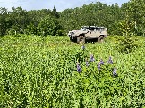 IMG_8800.JPG