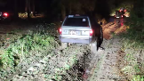 Моментальный снимок 36 (07.11.2023 21-52).png