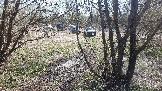 20250420_130841.jpg