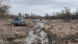 20250202_151245.jpg