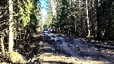 Трофи-лайф фото 4х4 покатушка Дмитровская Игрушка 08.03.2025 - (6).jpg