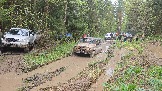20260510_130815.jpg