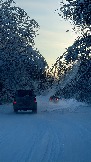 IMG_3839.JPG