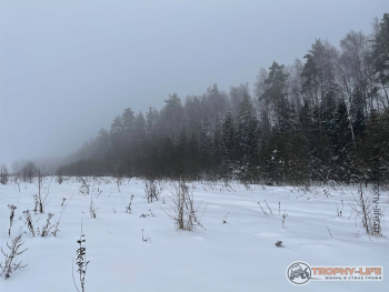 Фото Трофи-лайф 4х4 покатушка Юрьев День 23.01.21 -27.jpg