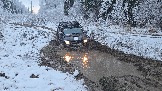 20251115_122534.jpg