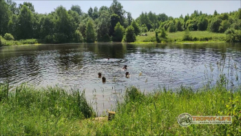 Фото Трофи-лайф 4х4 покатушка Ожерелье Озер 26.06.21 - 208.jpg