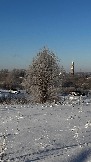 IMG_2711.JPG