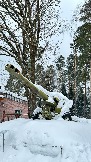 IMG_7603.jpg