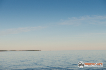 _DSC7997.jpg