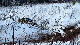 Трофи-лайф фото 4х4 покатушка Рогачёвские Сокровища 14.12.2024 - (25).png