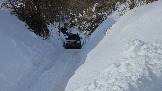 20260222_113047.jpg