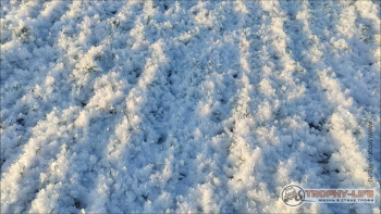 Фото Трофи-лайф 4х4 покатушка Радужный Водопад 12.12.20 -21.jpg