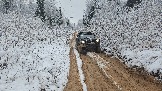 20251115_123141.jpg