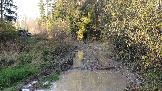 20231011_155512.jpg