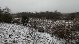 Трофи-лайф фото 4х4 покатушка Школа 4х4 16.02.2025 -  (204).jpg