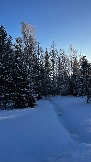 IMG_2916.JPG