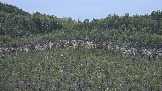 20250503_164628.jpg