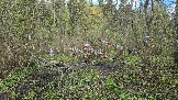 20250508_162247.jpg