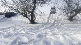 Трофи-лайф фото 4х4 покатушка Калужские Холмогоры 16.03.2024 -  (31).png