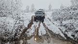 20251115_112605.jpg