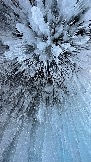 D83EC75E-4C4A-41B5-A4B8-67EF64279D1B.jpeg
