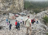 IMG_8517.JPEG