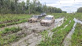 20260510_171604.jpg