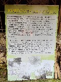 2026-05-05 12-17-26.JPG