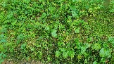 20240803_160436.jpg