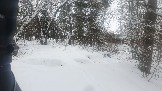 20231212_095854.jpg