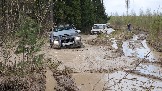 20250426_124528.jpg